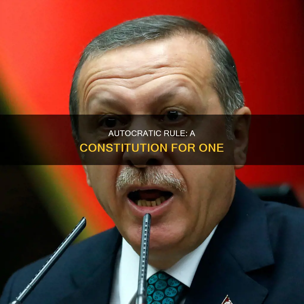 what would be the constitution for an autocracy