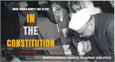 Dewitt's Dream Constitution: Key Features