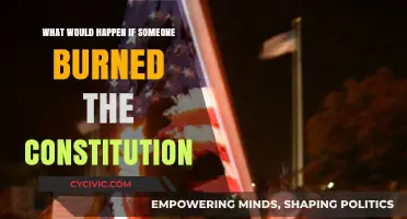 Burning the Constitution: What Would Happen?