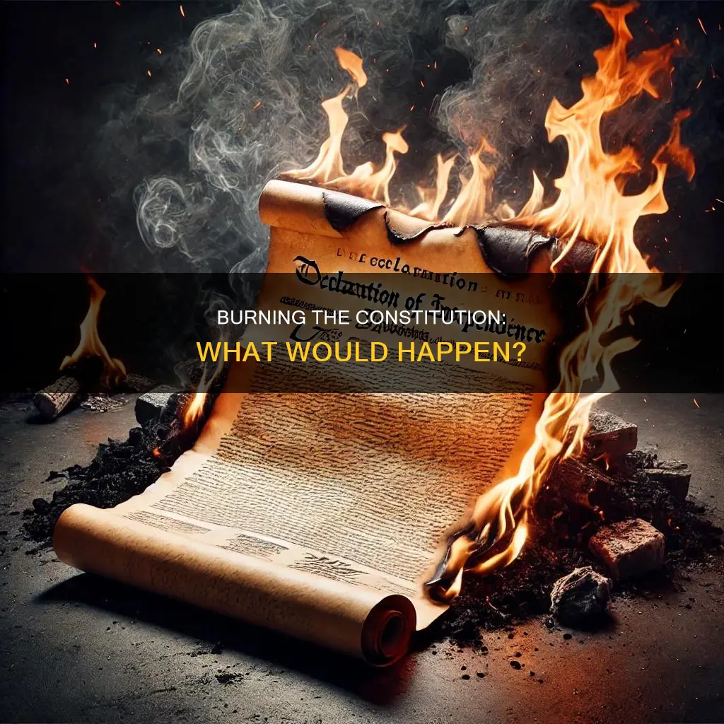 what would happen if someone burned the constitution