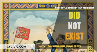 A World Without the Constitution: Chaos or Freedom?