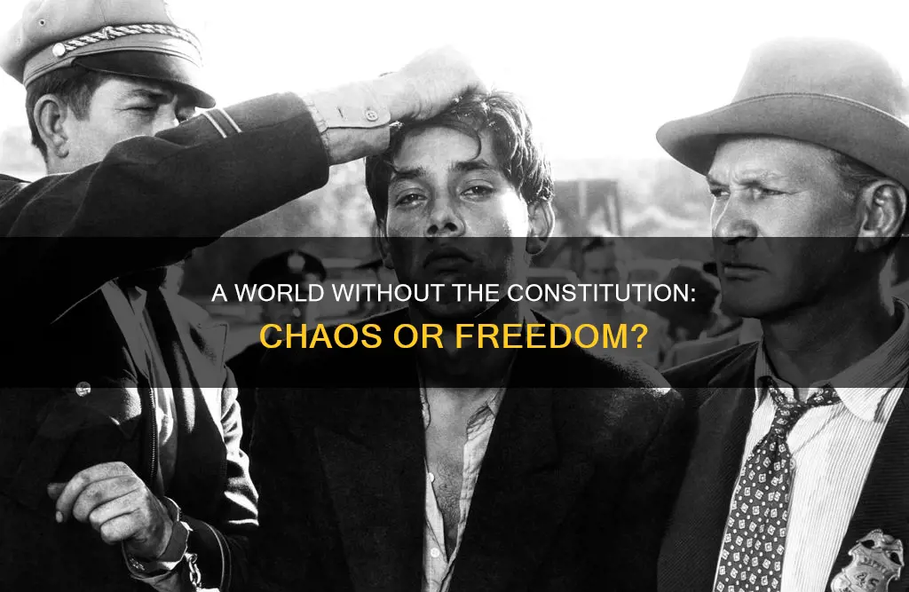 what would happen if the constitution did not exist