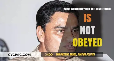 The Constitution: What If It's Ignored?