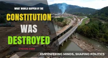 The Constitution's Destruction: A Nation's Chaos