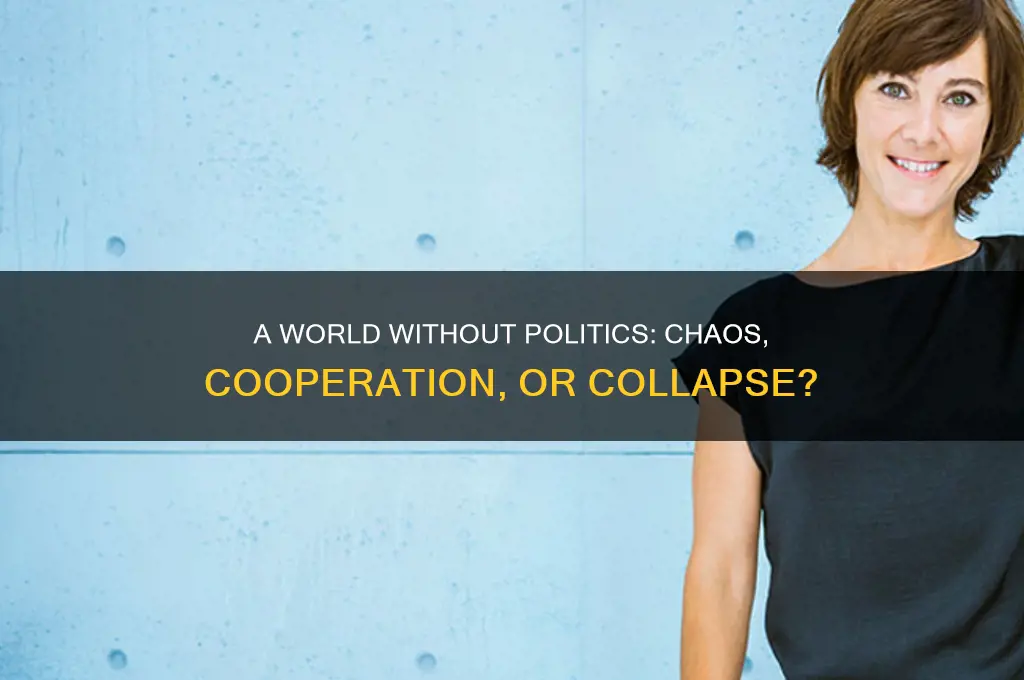 what would happen without politics
