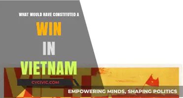 Vietnam: Strategies for Success and Defining Victory