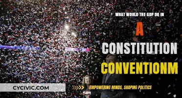 GOP's Constitutional Convention: What's Their Agenda?