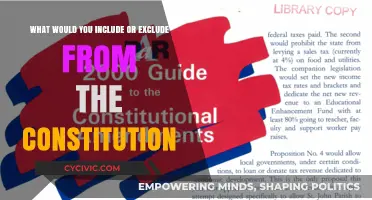 Revisiting the Constitution: What to Include and Exclude