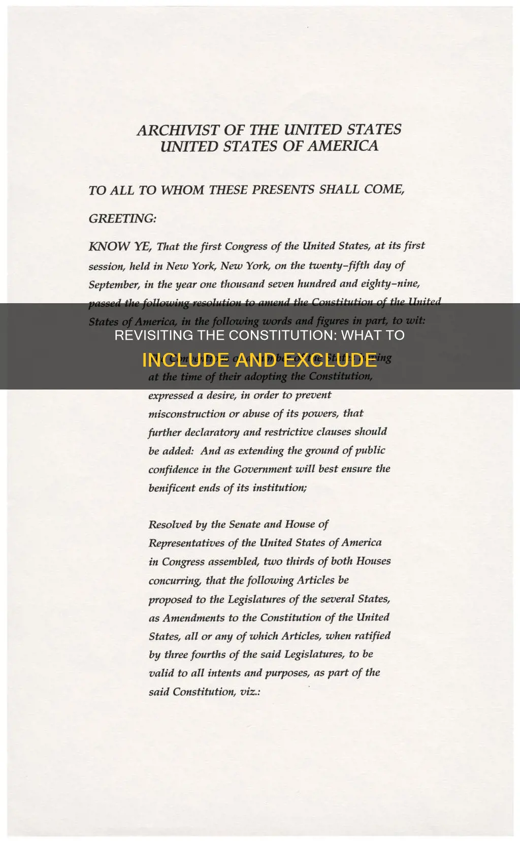 what would you include or exclude from the constitution