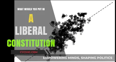 Liberals' Dream Constitution: Key Elements Explained