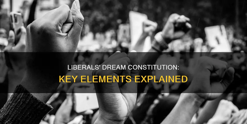 what would you put in a liberal constitution