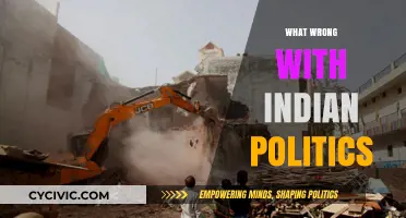 Decaying Democracy: Unraveling the Deep-Rooted Issues in Indian Politics