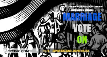 Georgia's Marriage Amendment: A Historical Vote