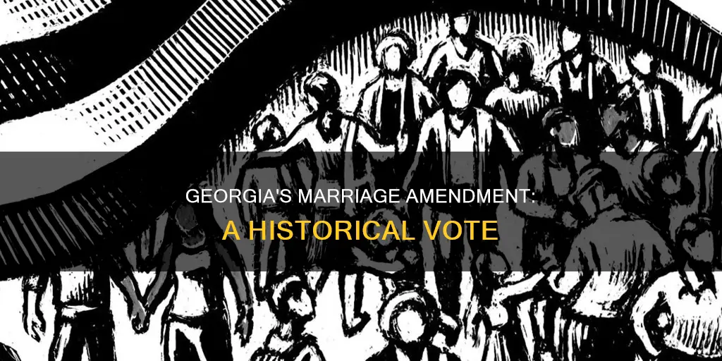 what year did georgia constitutional amendmend defining marriage vote on