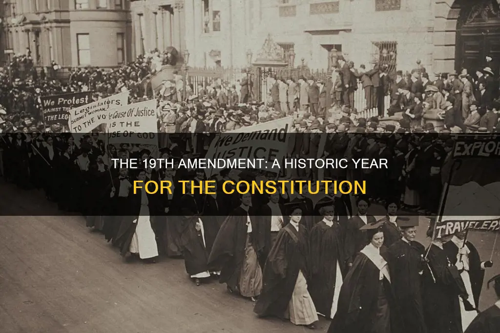 what year was amendment 19 added to the constitution