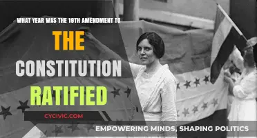 The 19th Amendment: A Historic Year for Women's Suffrage