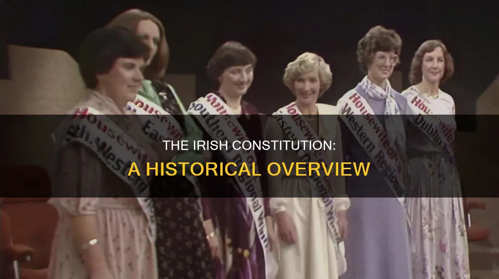 what year was the irish constitution written