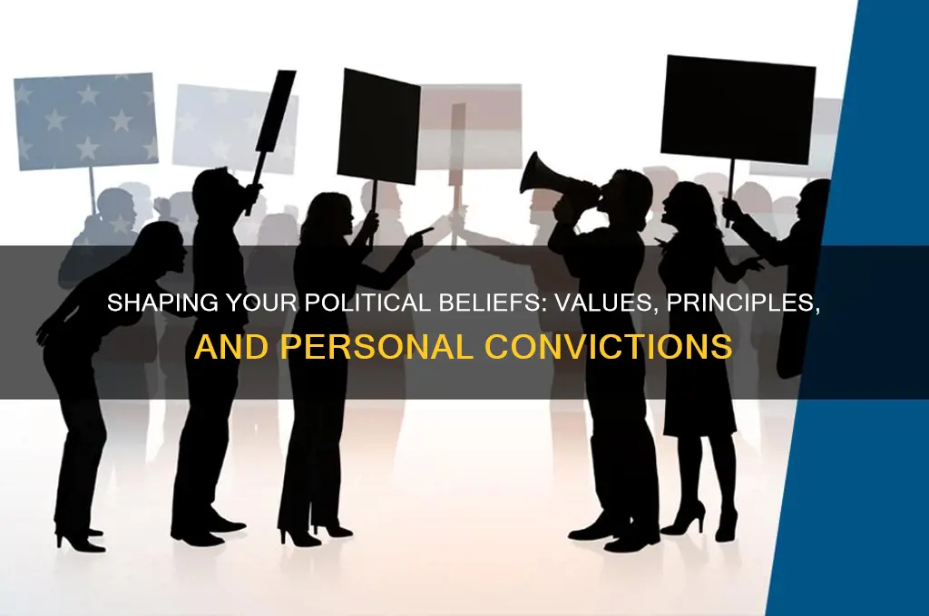 what you believe in politics