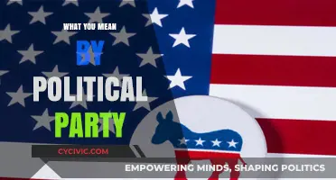 Understanding Political Parties: Their Role, Structure, and Influence in Democracy