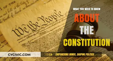 The Constitution: Your Essential Guide