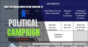 Political Campaign Donations: What You Need to Know