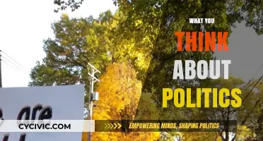 Politics Unveiled: Reflecting on Beliefs, Impact, and Personal Perspectives