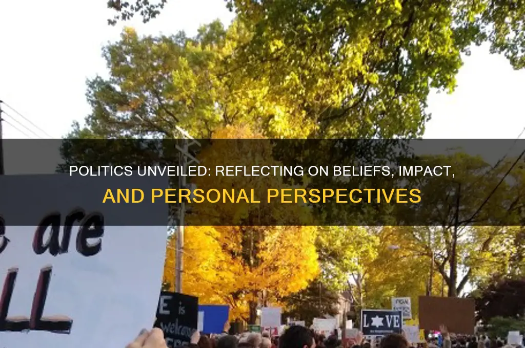 what you think about politics