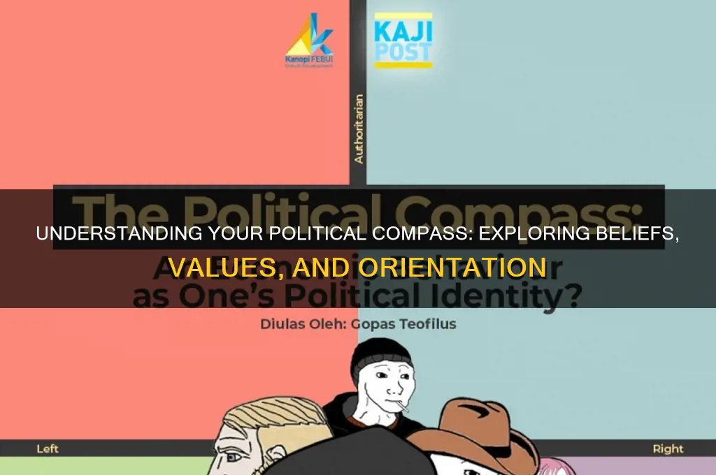 what your political orientation