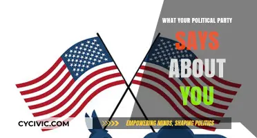 Your Political Party: Unveiling Personal Values and Social Identities