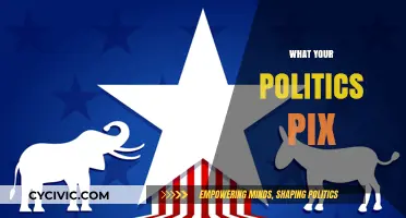 Your Politics Pix: Unveiling Personal Beliefs Through Visual Choices