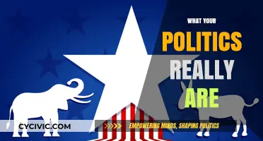 Unveiling Your Core Beliefs: What Your Politics Truly Represent