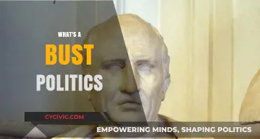 Understanding Bust Politics: Causes, Consequences, and Real-World Examples