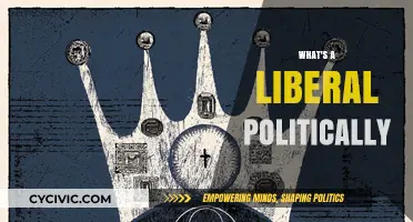 Understanding Liberalism: Core Political Beliefs and Values Explained