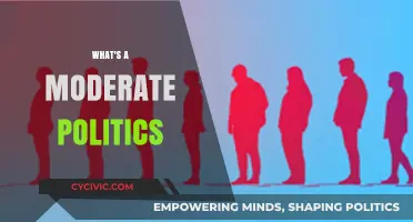 Understanding Moderate Politics: Balancing Ideologies for Pragmatic Governance