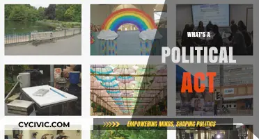 Understanding Political Acts: Everyday Actions Shaping Society and Governance