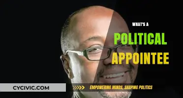 Understanding Political Appointees: Roles, Responsibilities, and Impact on Governance