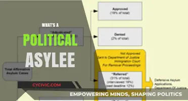 Understanding Political Asylum: Who Qualifies and How It Works