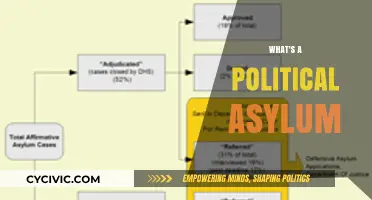 Understanding Political Asylum: Rights, Process, and Global Implications Explained