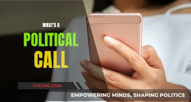 Understanding Political Calls: What They Are and Why They Matter