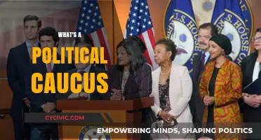 Understanding Political Caucuses: Their Role, Function, and Impact in Democracy