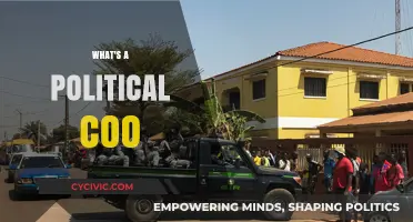 Understanding Political Coups: Causes, Tactics, and Global Implications