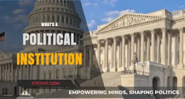 Understanding Political Institutions: Structure, Function, and Impact on Society