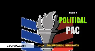 Understanding Political PACs: Their Role, Influence, and Impact on Elections