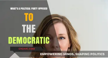 Exploring the Republican Party: A Counterpoint to Democratic Ideologies