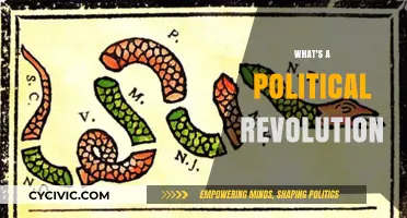 Understanding Political Revolution: Causes, Impact, and Historical Examples