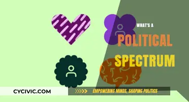 Understanding the Political Spectrum: A Comprehensive Guide to Ideological Diversity