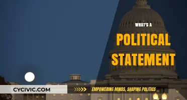 Understanding Political Statements: Power, Purpose, and Public Impact Explained