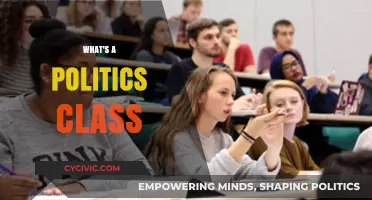 Unveiling the World of Politics: What to Expect in Class
