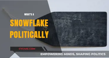 Understanding the Snowflake: Political Identity and Cultural Significance Explained