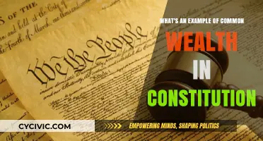 Wealth's Place in the Constitution